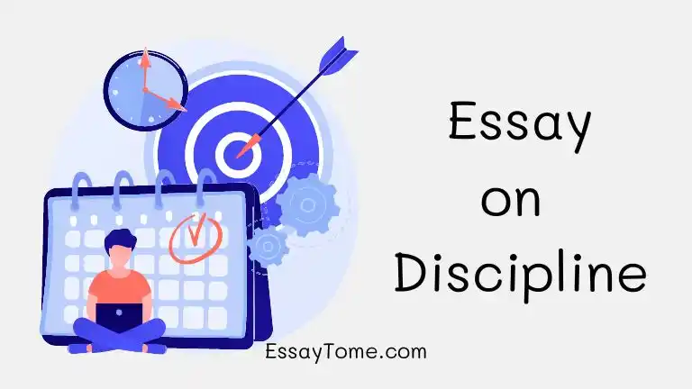 article on discipline