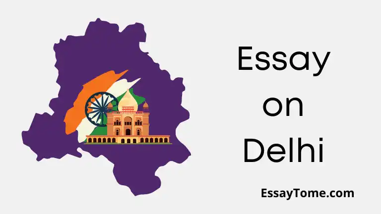 Essay on Delhi