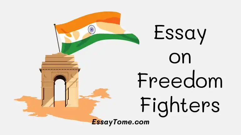 essay on freedom fighters