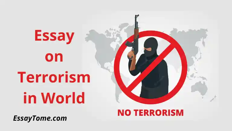 essay on terrorism in world