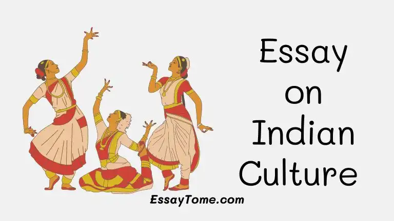 essay on culture and tradition
