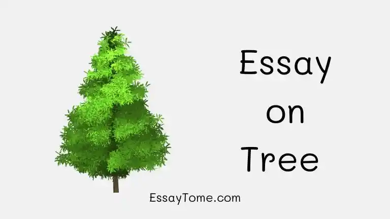 tree essay