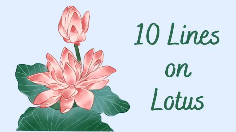 10 lines on lotus