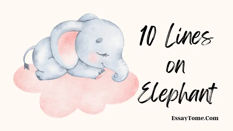 10 lines Elephant